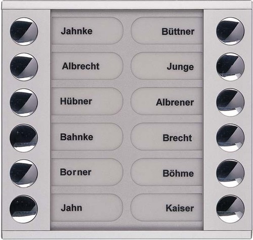 TCS Tür Control Audioaußenstation 2-reihig Erw.12 Tasten silber PET12-EN/04