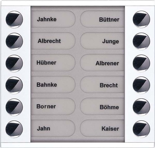 TCS Tür Control Audioaußenstation 2-reihig Erw.12 Tasten AP weiß PET12-WS/04