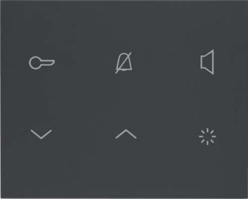 Elcom Innenstation-Audio 2D anthrazit matt TOUCH REA114Y