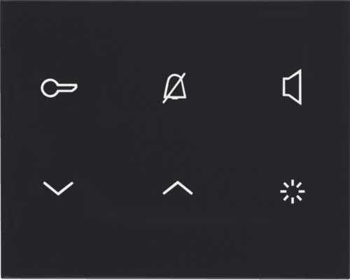 Elcom Innenstation-Audio 2D schwarz glänz. TOUCH REA125Y