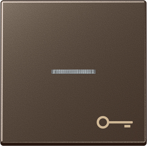 Jung Wippe Symbol TÜR mokka für beleuchtb.Taster A 590 KO5 T MO