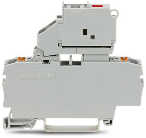 WAGO GmbH & Co. KG 2-Leiter-Sicherungsklemme Abschlussplatte,grau 2202-1611/1000-542