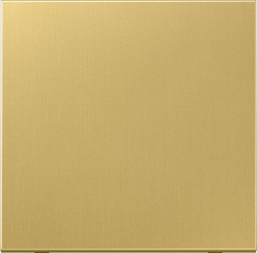 Jung Wippe Mess/clas für Schalter/Taster ME 2990 C