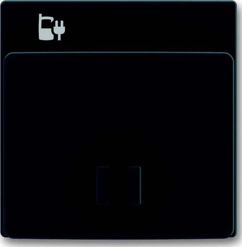 Busch-Jaeger Zentralscheibe anthr f.USB-Ladest-Einsatz 6478-81