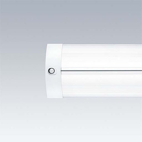 Thorn LED-Anbauleuchte 4000K IQ SURF L #96629305