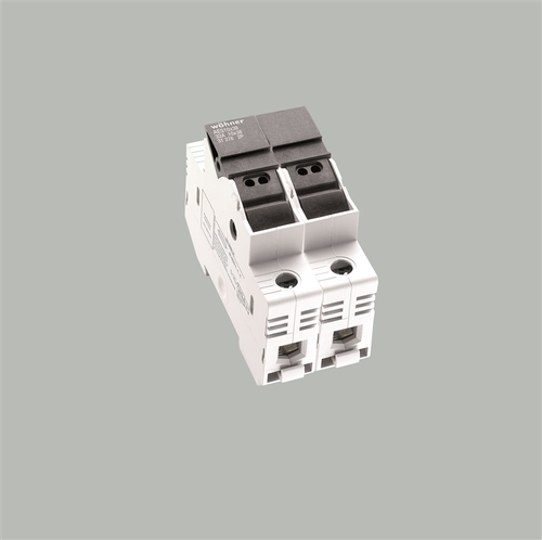 Wöhner Halter 10x38/2P 31276