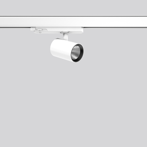RZB LED-Stromschienenstrahler 930, DALI, weiß 742153.002.1.76