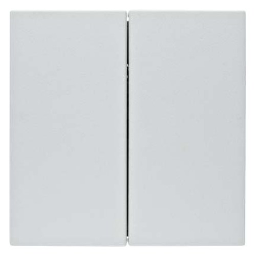 Berker Taste 2-fach ch polarweiß matt 85142188