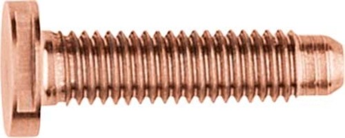 Elcom Schraube Spezial M5x25 PVD vari ZY M5x25 PVD vari