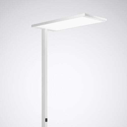 Trilux LED-Stehleuchte 840, DALI, weiß Luceos S G2 #7939551