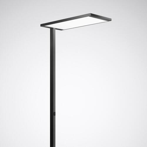 Trilux LED-Stehleuchte 830, DALI, grau Luceos S G2 #7940051