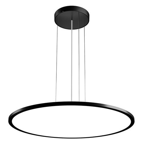 Performance in Light LED-Pendelleuchte 3000K, DALI 3116333 Performance in Light LED-Pendelleuchte 3000K, DALI 3116333