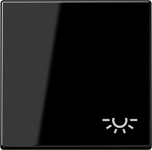 Jung Wippe Symbol Licht schwarz A 590 BF L SW Jung Wippe Symbol Licht schwarz A 590 BF L SW