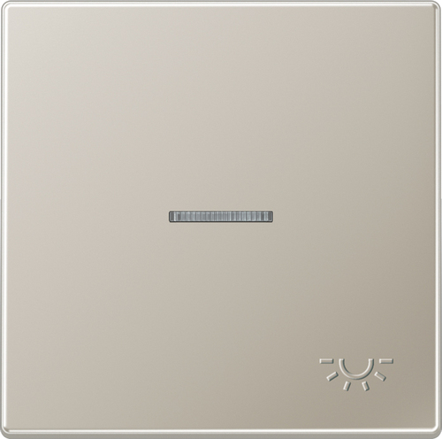 Jung Wippe geprägtes Symbol Licht edelstahl ES 2990 KO5 LP Jung Wippe geprägtes Symbol Licht edelstahl ES 2990 KO5 LP