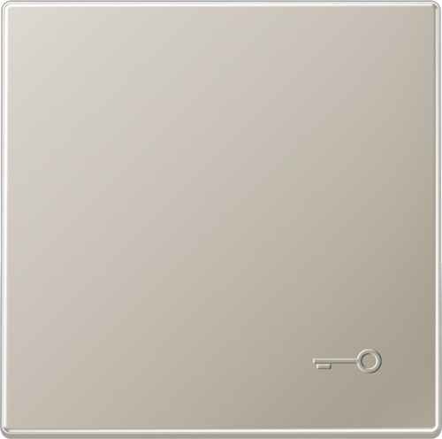 Jung Wippe geprägtes Symbol Tür edelstahl ES 2990 TP Jung Wippe geprägtes Symbol Tür edelstahl ES 2990 TP