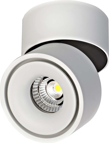Brumberg Leuchten LED-Deckenspot 9,8W 3000K weiß 675lm 12061073