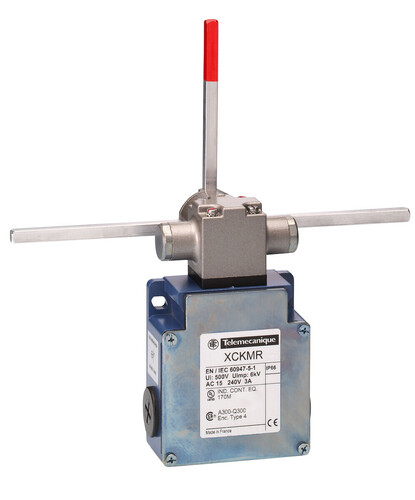Telemechanique Sensors Positionsschalter XCKMR54D2H29