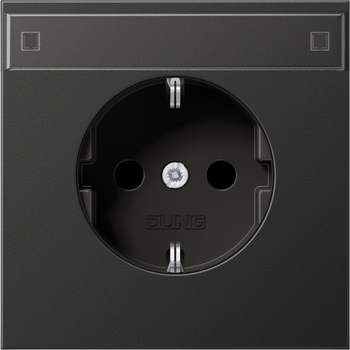 Jung SCHUKO-Steckdose 16A 250V mit Schriftfeld AL 1520 KINA AN Jung SCHUKO-Steckdose 16A 250V mit Schriftfeld AL 1520 KINA AN