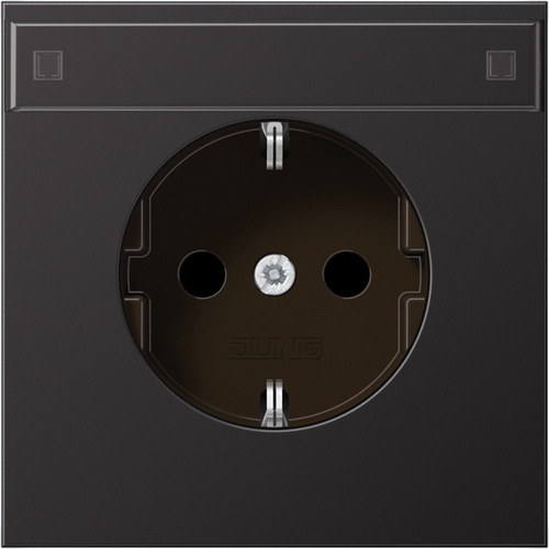 Jung SCHUKO-Steckdose 16A 250V mit Schriftfeld AL 1520 KINA D Jung SCHUKO-Steckdose 16A 250V mit Schriftfeld AL 1520 KINA D