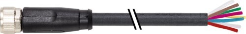 Murrelektronik Anschlussleitung 7000-08961-6962000