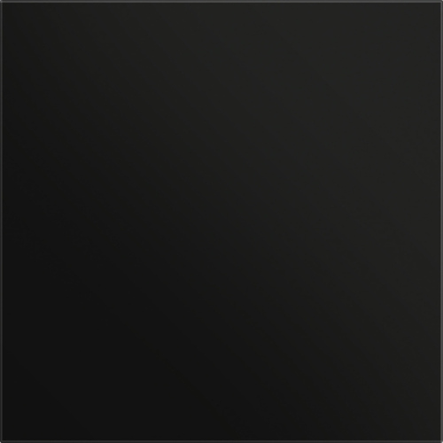 Gira Frontpl. Info-/Blindmodul schwarz matt 5554925