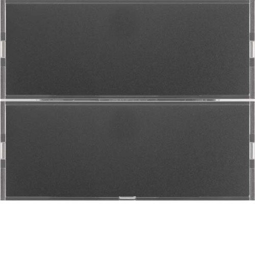 Berker Tastsensor 2-fach anth/mt 80162776