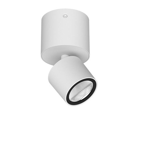 LTS Licht&Leuchten Wand-u.Deckenleuchte 927, DALI, weiß ORYO-WA1 101 #671941