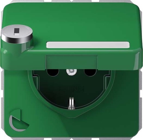 Jung SCHUKO-Steckdose 16A 250V m.Berührungsschutz CD 1520 NAKLSL GN