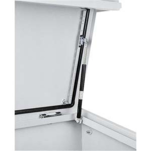 Schneider Electric Pneumatische Türhalterung für Pultdeckel, Max. NSYPLS30