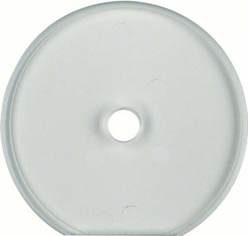 Berker Endplatte Serie Glas 109430 Berker Endplatte Serie Glas 109430