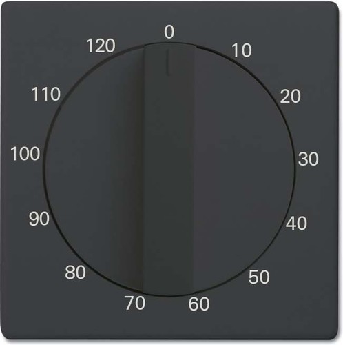 Busch-Jaeger Zentralscheibe anthrazit Bedienelement 1771-81-103