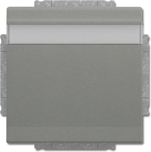 Busch-Jaeger SCHUKO Steckdosen-Einsatz graumetallic 20 EUKNB-803