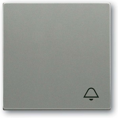 Busch-Jaeger Wippe mit Aufdruck graumetallic 2520 KI-803