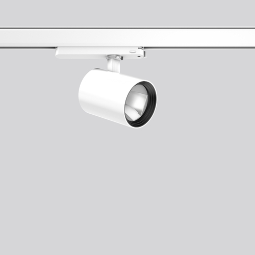 RZB LED-Strahler 930 742306.002