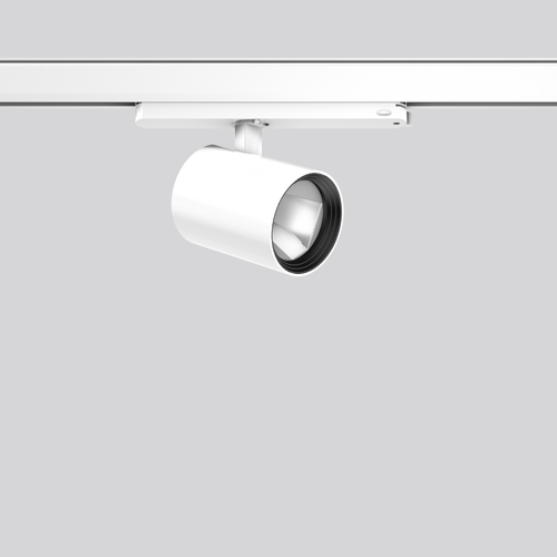 RZB LED-Strahler 930 742306.002.76