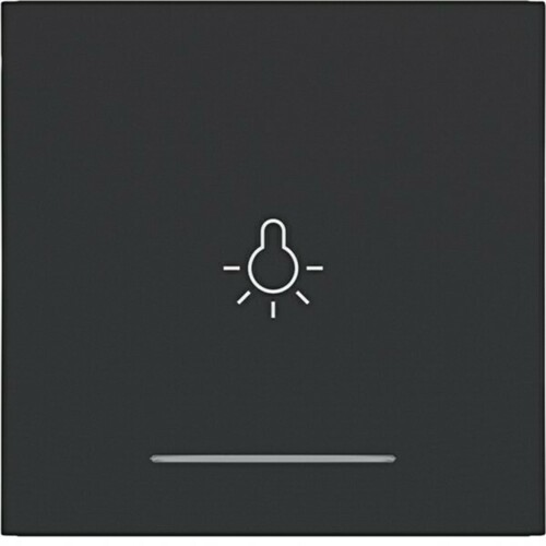 Hager WI 1-fach Aufdr. Licht Ax/Cx schwarz matt WAW1032BM