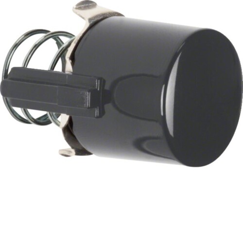 Hager Tasterknopf schwarz, glänzend WTF5285BG