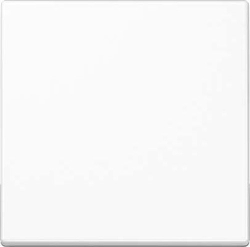 Jung Steuertaste Standard A 1700 BF WW
