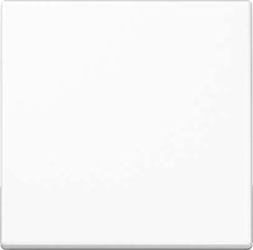 Jung Steuertaste Standard A 1700 WW