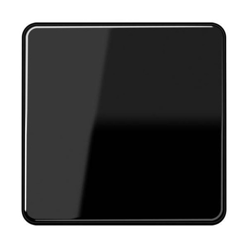 Jung Steuertaste Standard CD 1700 SW