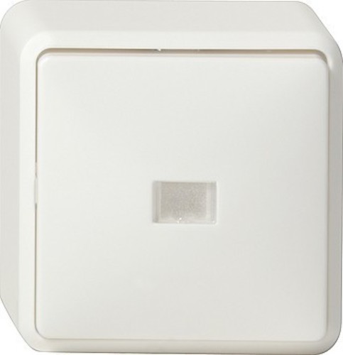 Gira Kontr.Wechselschalt. reinweiß AP 011613