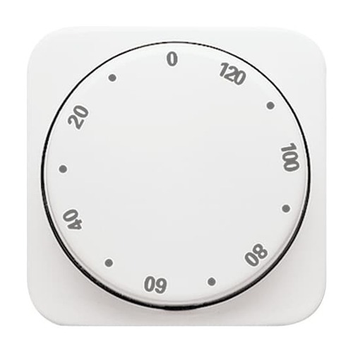 Busch-Jaeger Zentralscheibe alpinweiß Zeitschaltuhr,120Min 1771-214-102