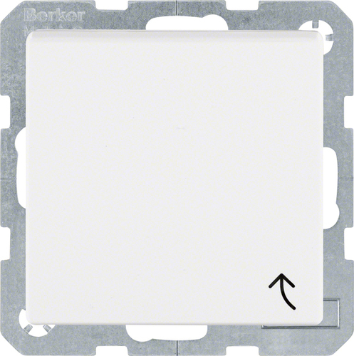 Berker Erdstift Steckdose S.1 IP44 pws matt 6768771909