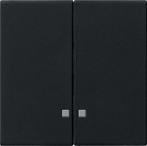 Gira Wippe 2-fach schwarz Kontrollfenster 0631005