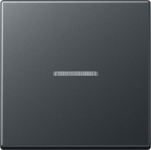 Jung Wippe f.Taster KO A 101 KO5 BF ANM Jung Wippe f.Taster KO A 101 KO5 BF ANM