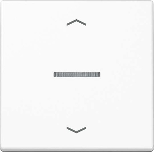 Jung Wippe f.Taster KO, Pfeile A 101 KO5P BF WW Jung Wippe f.Taster KO, Pfeile A 101 KO5P BF WW