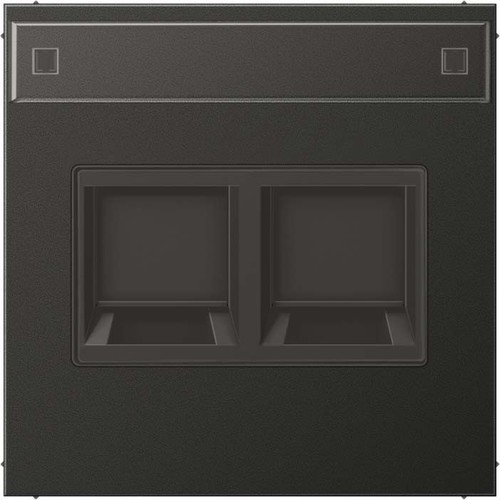 Jung Abdeckung 2-fach f.MJ NA WE AMP, Rad. AL 1969-2 NA WE AN Jung Abdeckung 2-fach f.MJ NA WE AMP, Rad. AL 1969-2 NA WE AN