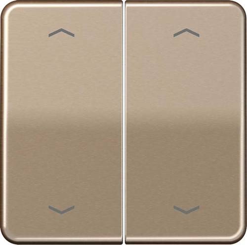 Jung Wippe f.Ser.Taster -Pfeile CD 102 P GB Jung Wippe f.Ser.Taster -Pfeile CD 102 P GB