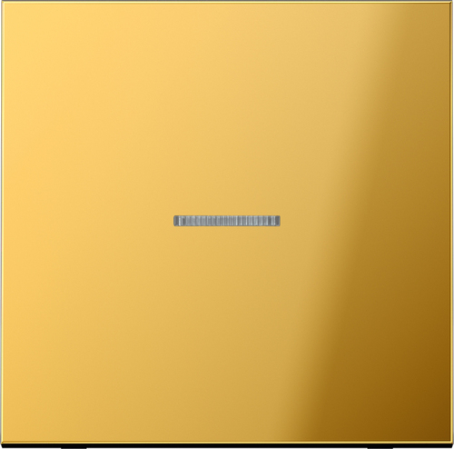 Jung Wippe f.Taster KO GO 101 KO5