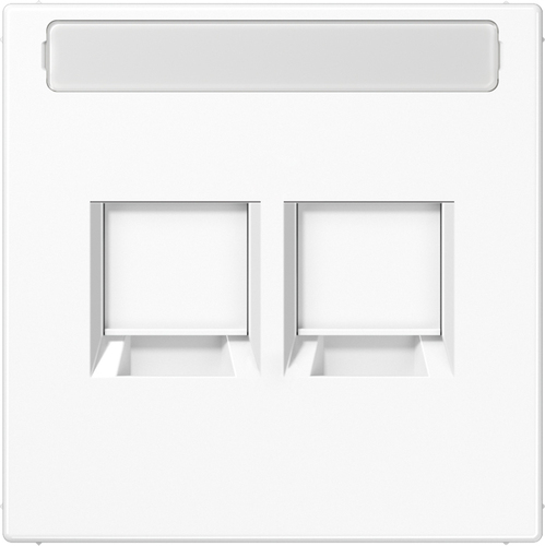 Jung Abdeckung 2-fach f.MJ NA WE TE-conne. LS 1969-25 NA WE WW